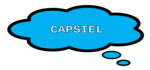 CAPSIEL™ Conseil logo